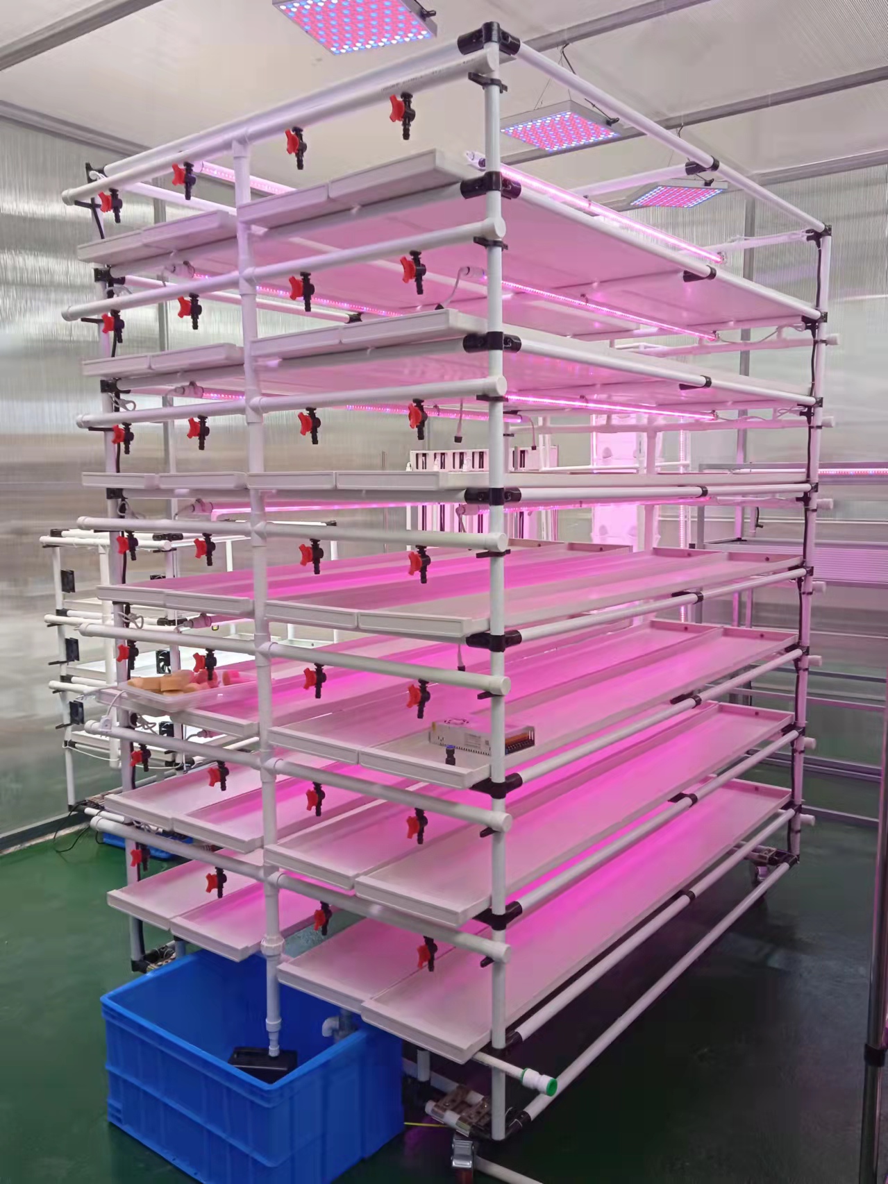 水培種植設備-育苗架