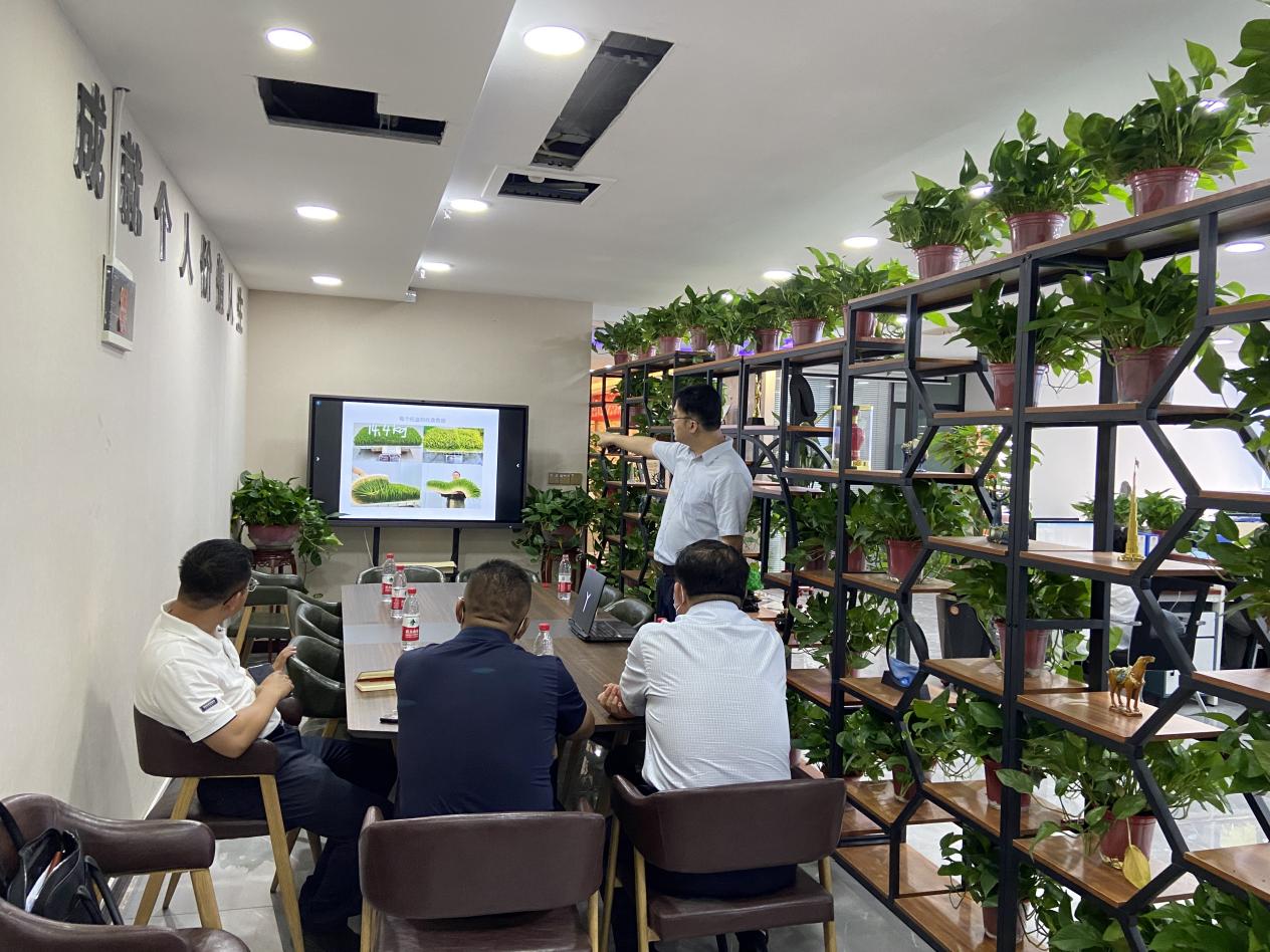 額副市長等人了解水培牧草項目詳細(xì)資料