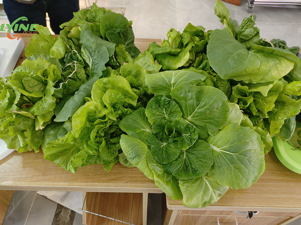 智能種菜機種菜02