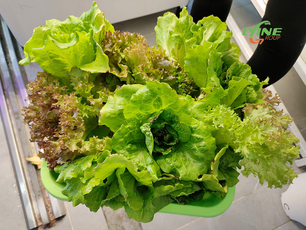 智能種菜機種菜