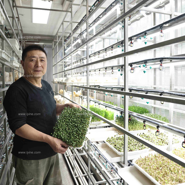 迪拜客戶購買兩臺水培牧草集裝箱系統(tǒng)